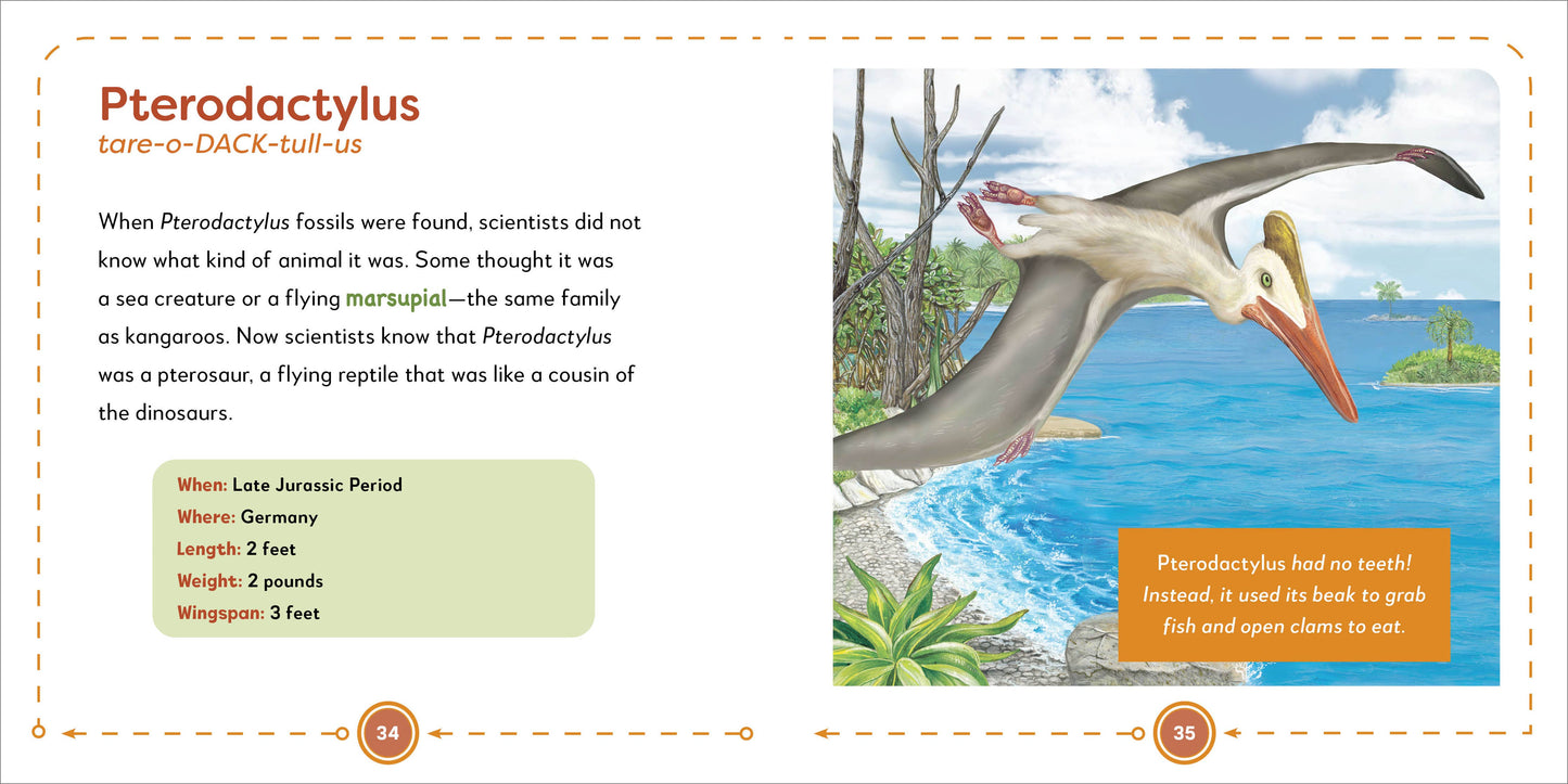 My First Book of Dinosaurs