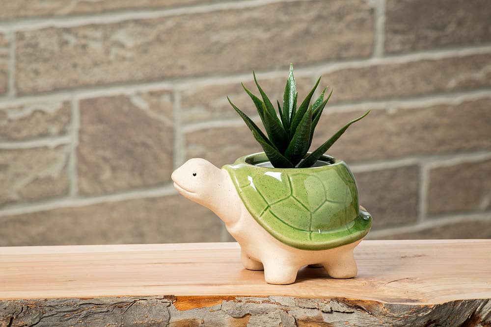 Sm Turtle Planter-Green