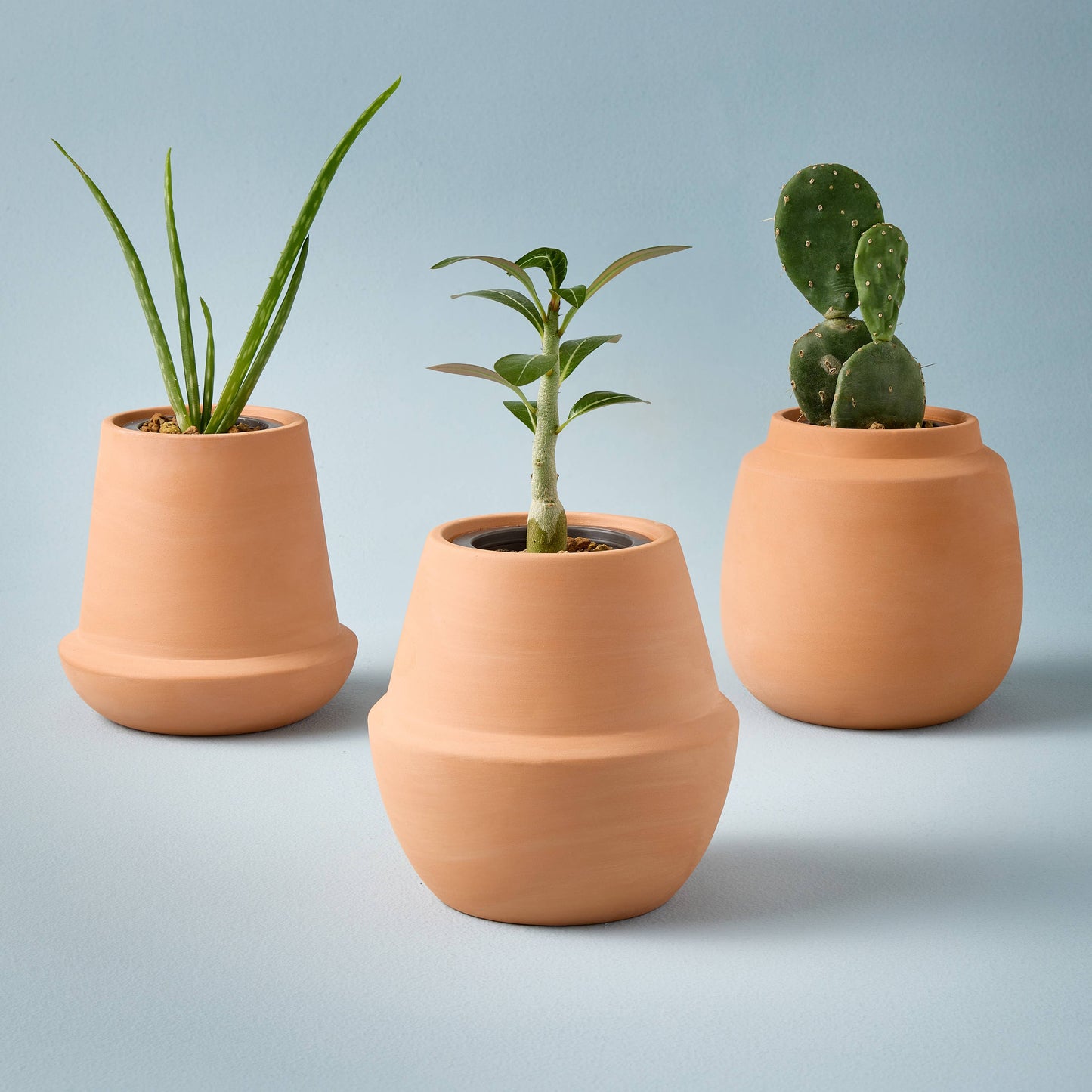 Terracotta Grow Kits