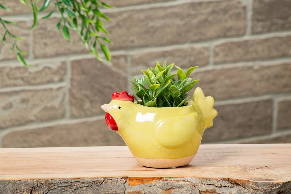 Chicken Planter