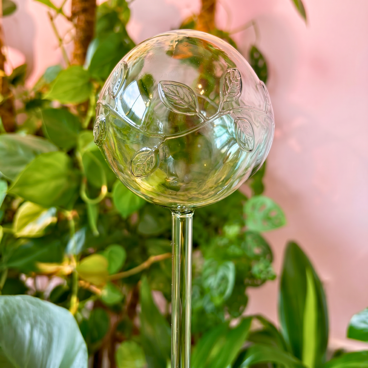 Self-Watering Globe Green Vine - Case of 6