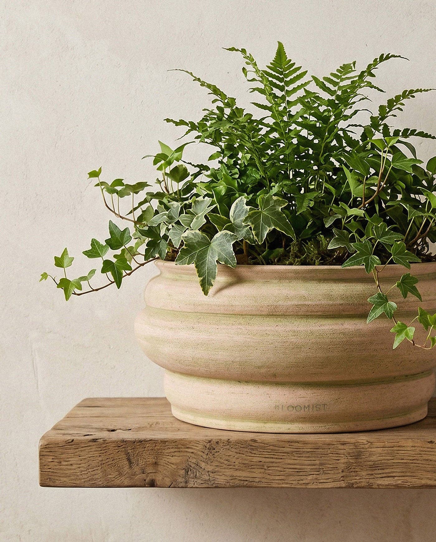 Basin Pot, Greenwash