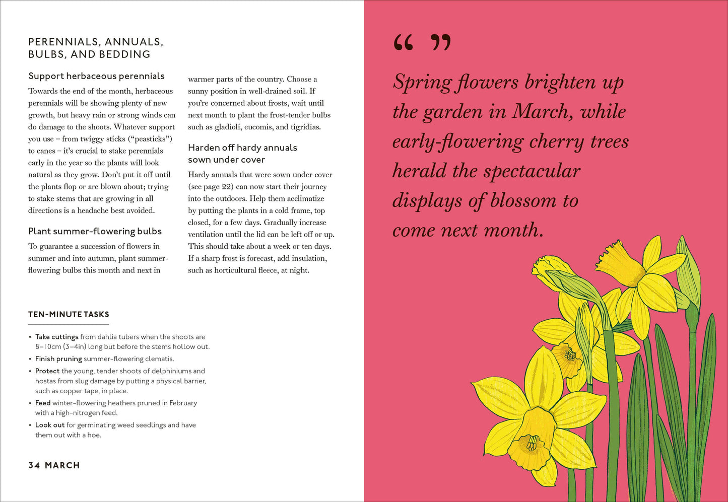 Your Gardening Year