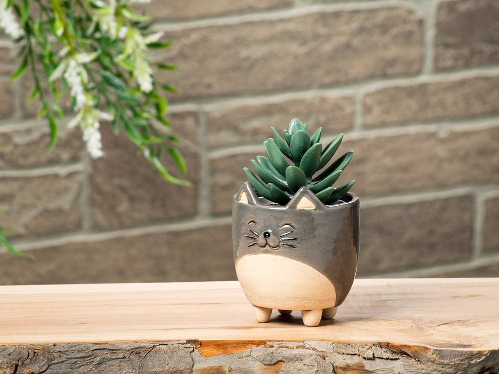 Cat on Legs Planter-Small