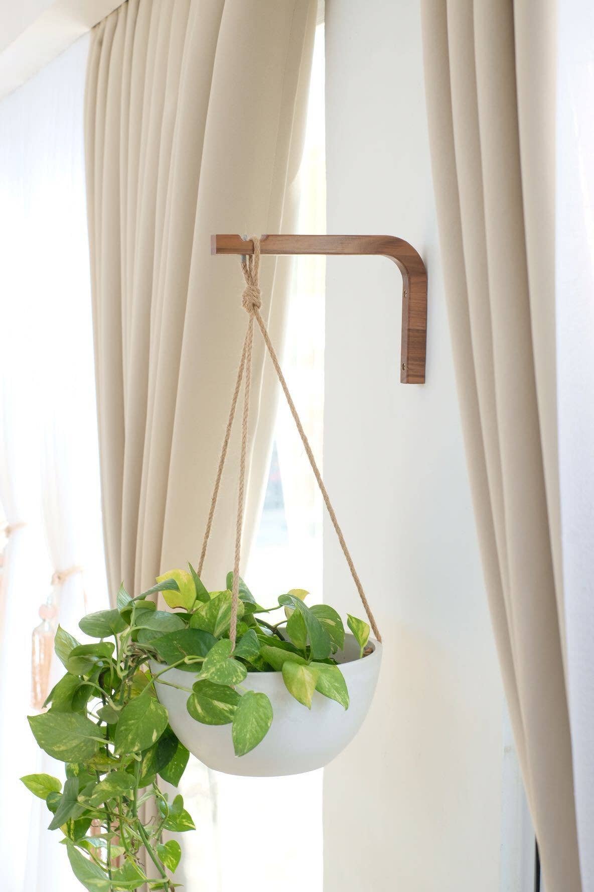 Walnut & Birch Wall Hanger: Birch