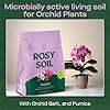 4qt Orchid Mix