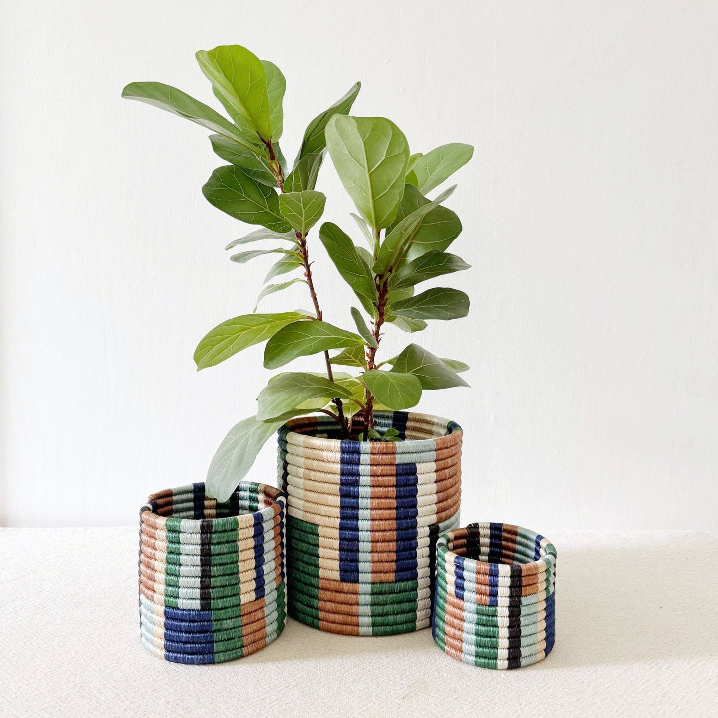 Shonga Storage Plant Basket