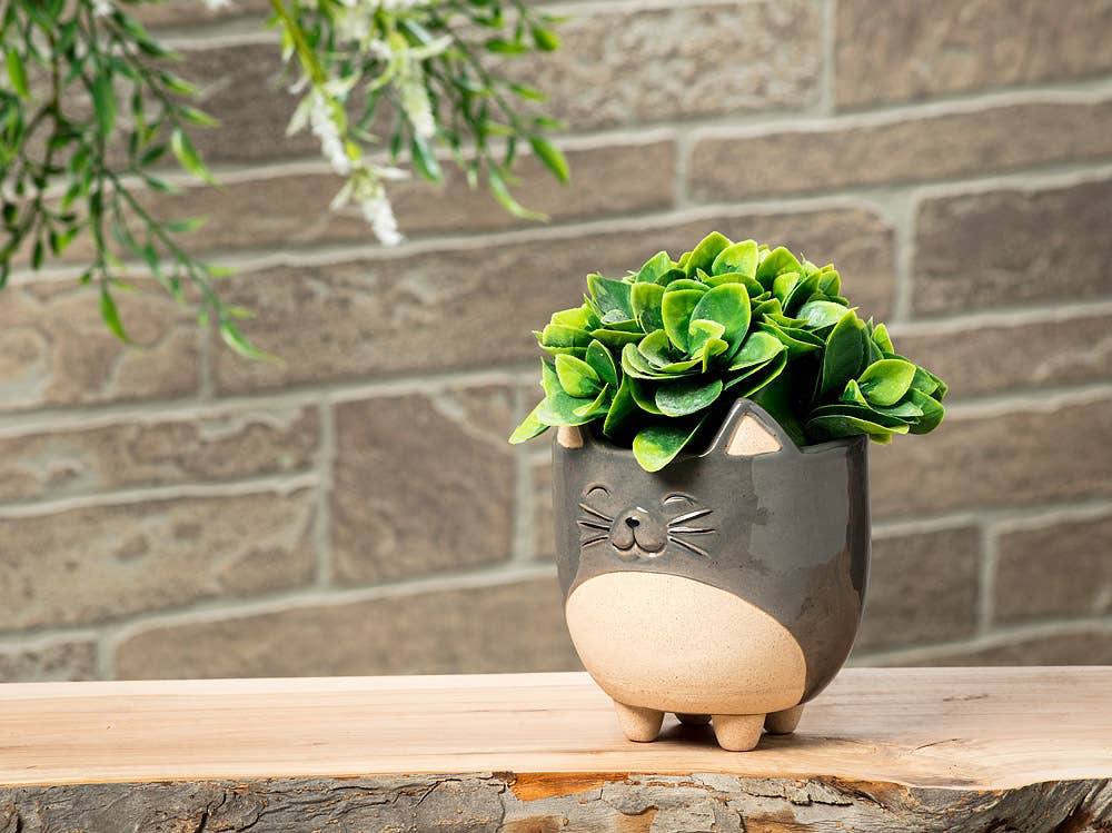 Cat on Legs Planter