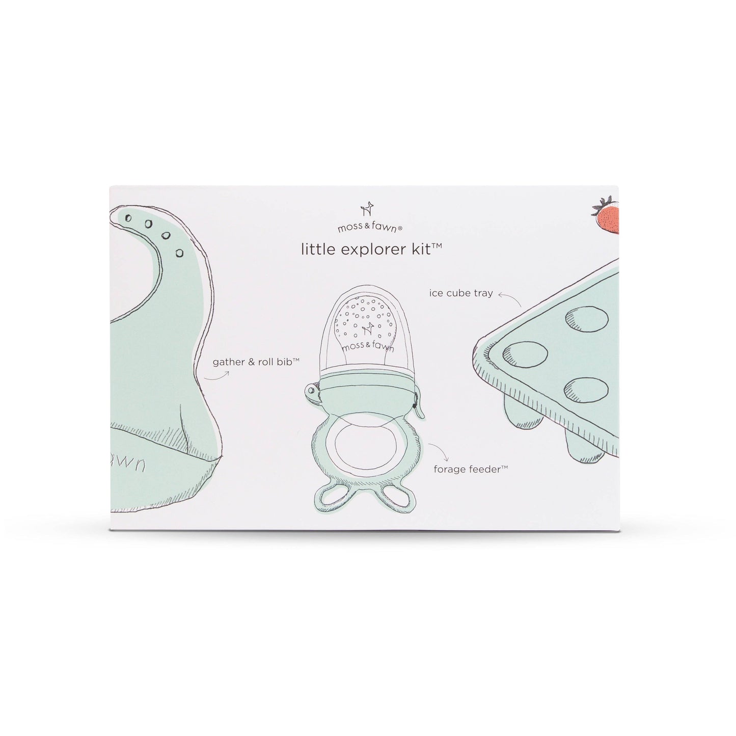 Little Explorer Kit