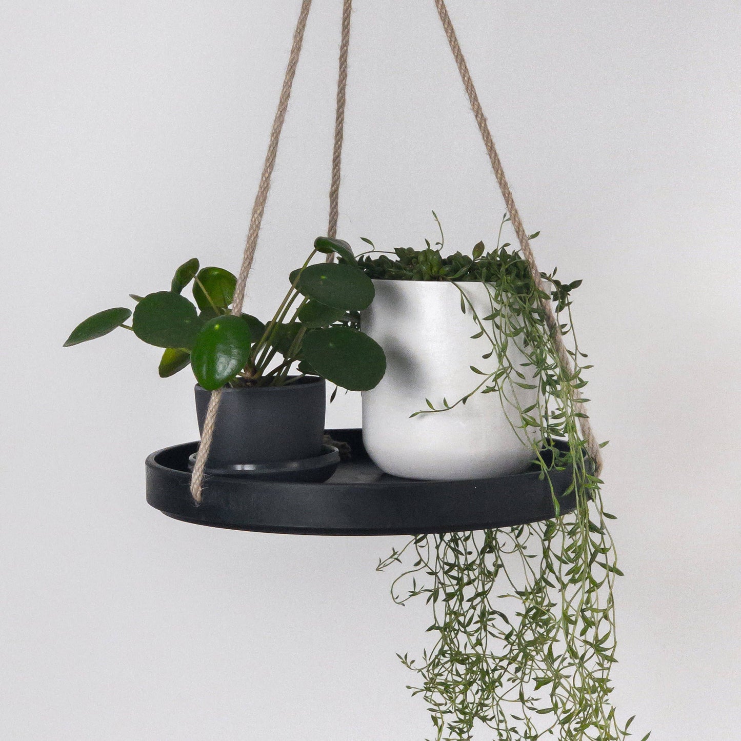 10" Signature Stone Hanging Tray: White Stone