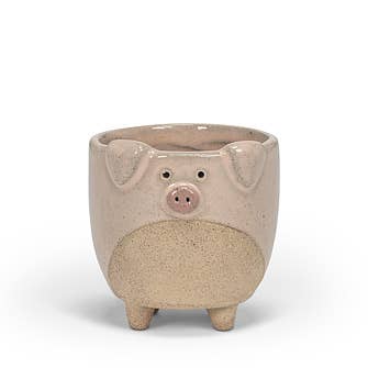 Pig on Legs Planter