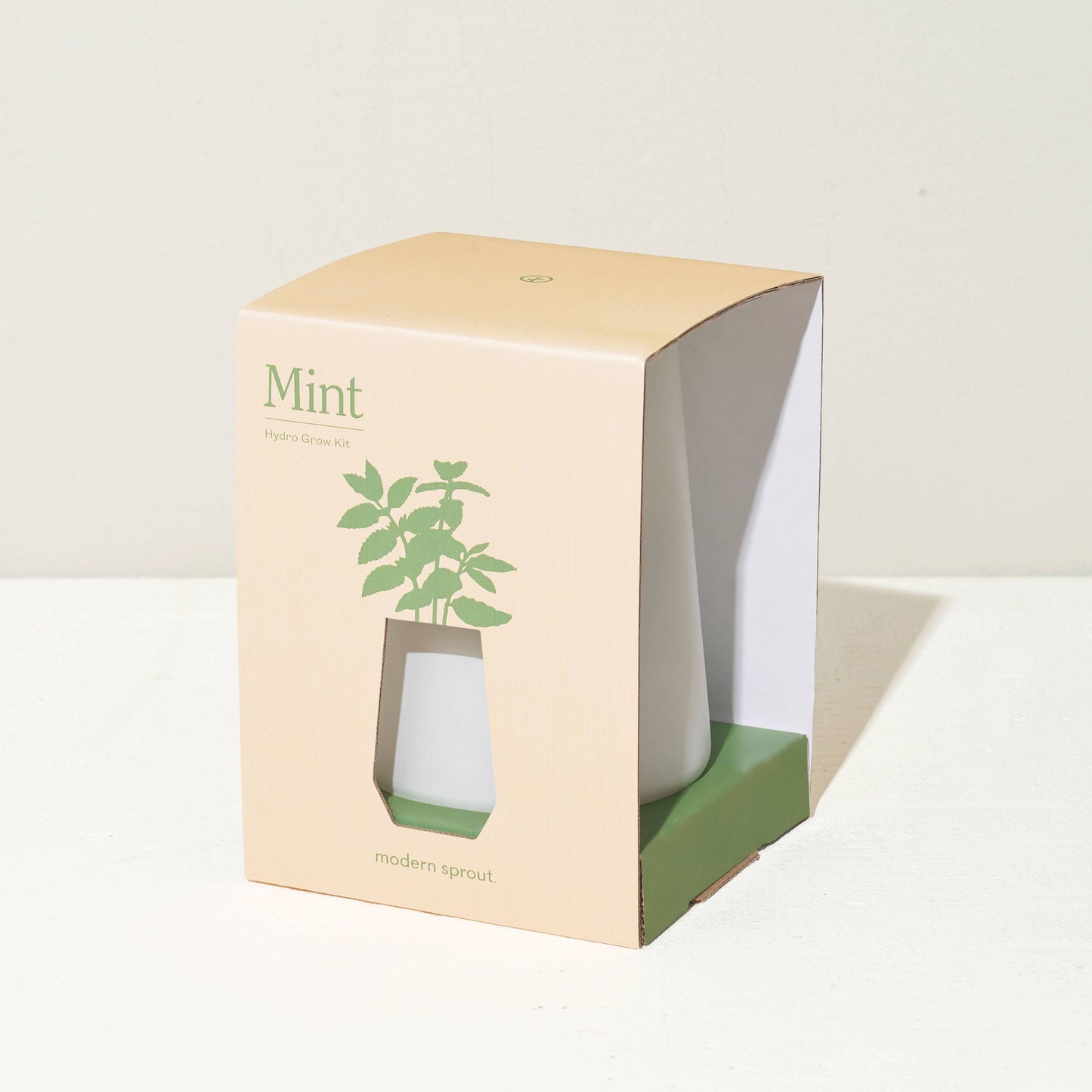 Tapered Tumbler: Mint