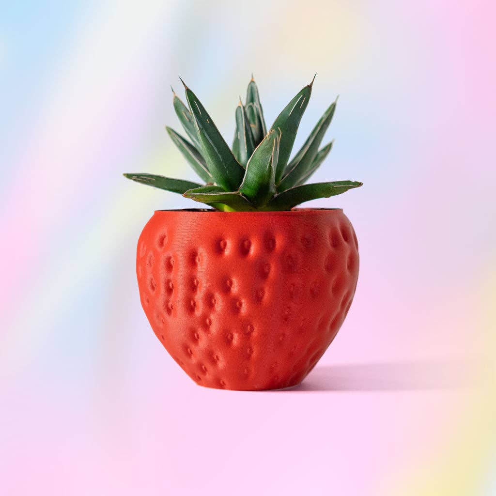 Strawberry Plant Pot - Made in Canada 🇨🇦