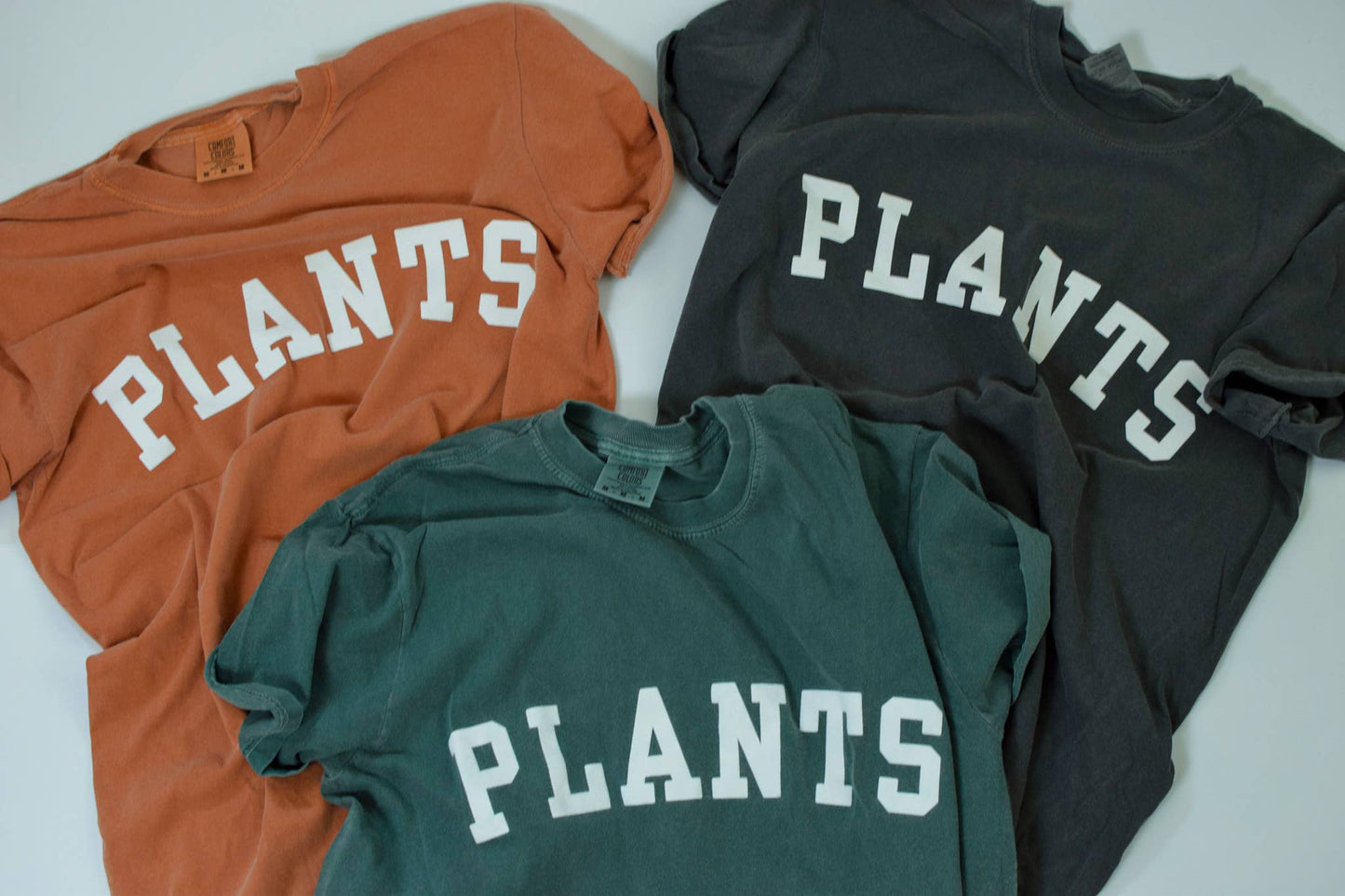 Plants T-Shirt: Terra Cotta / M