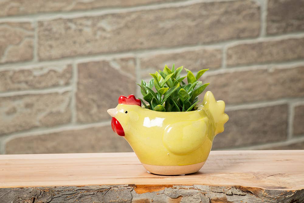 Chicken Planter