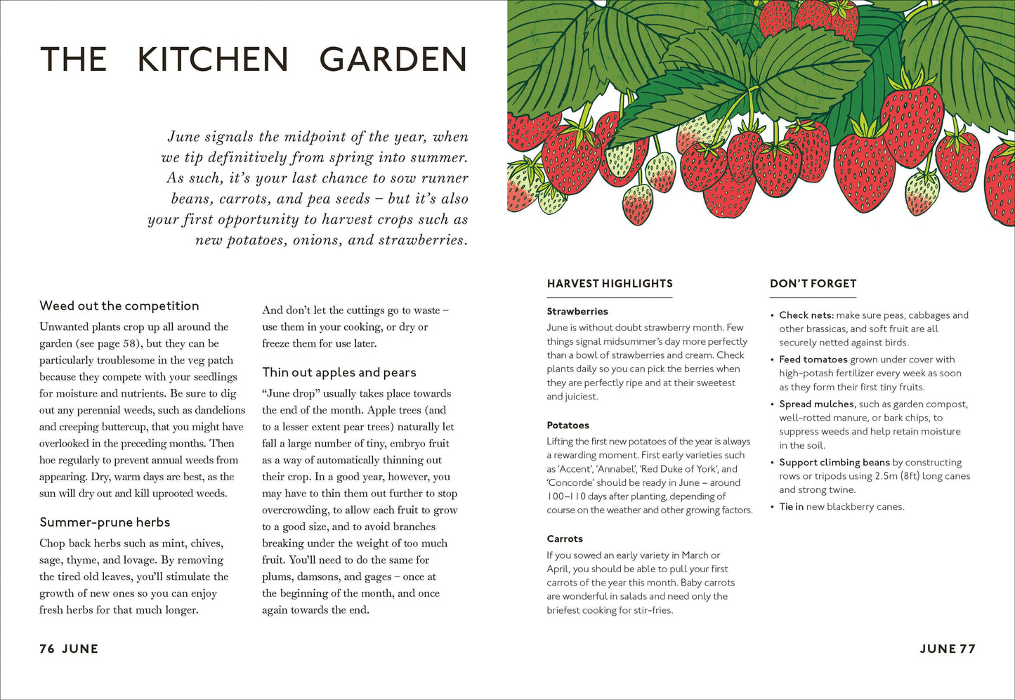 Your Gardening Year