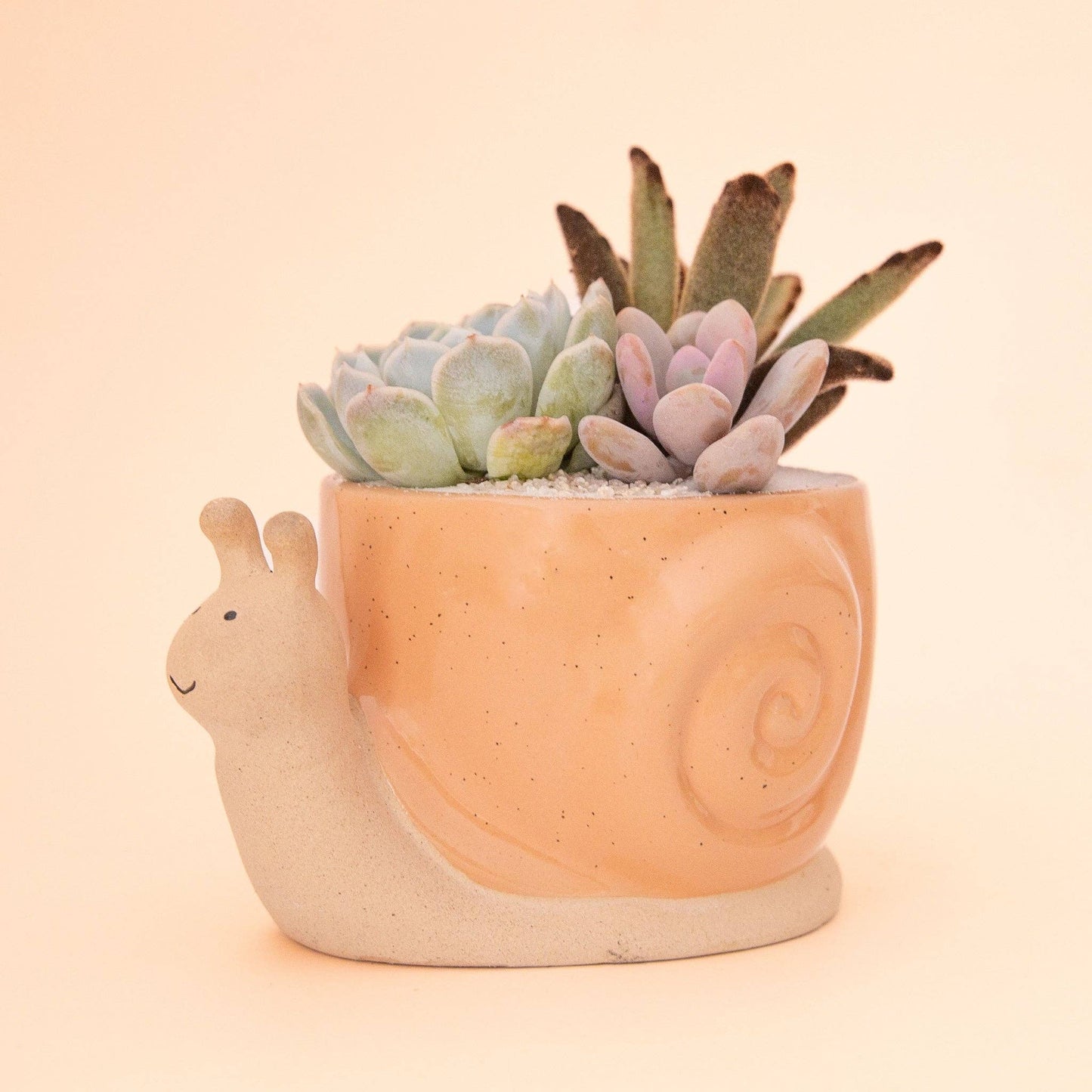 Snail Planter | Sunset: S