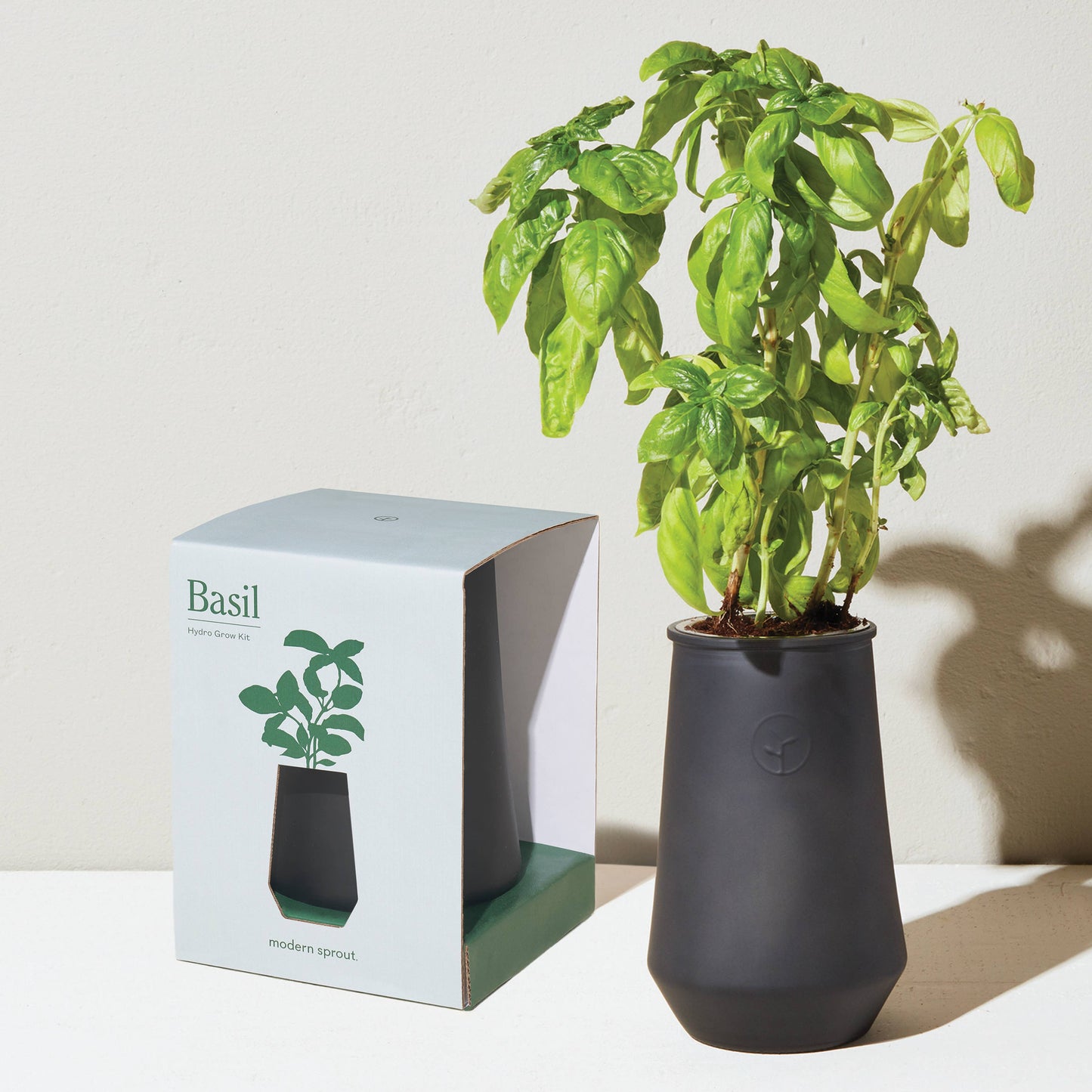 Tapered Tumbler: Mint