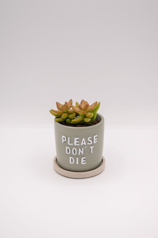Please Don't Die Planter