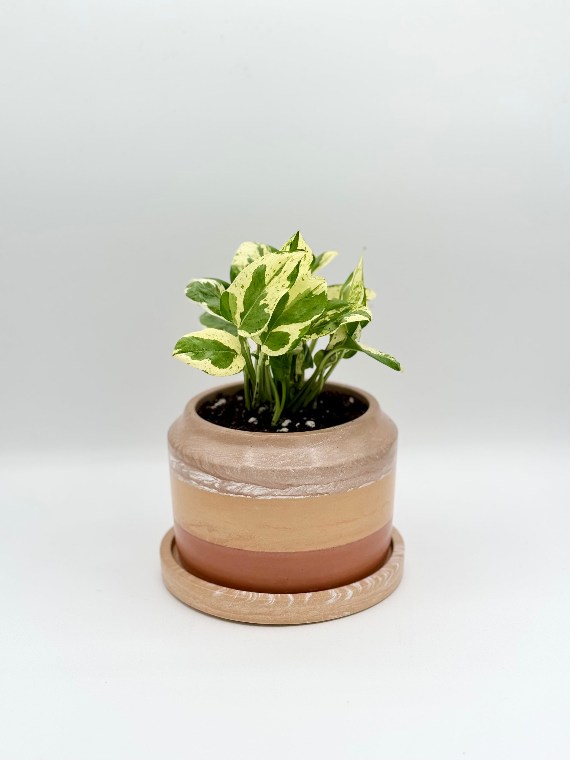 farmhouse indoor planter Farmhouse Can-Style Planter
