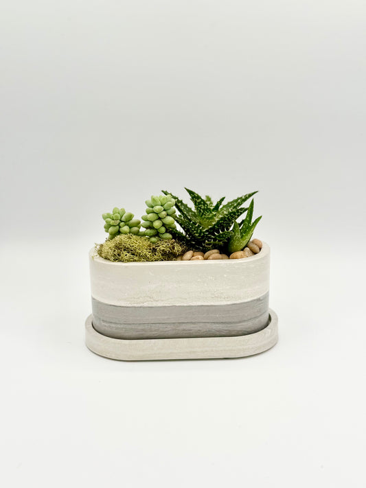 Oval Planter w/Drip Tray