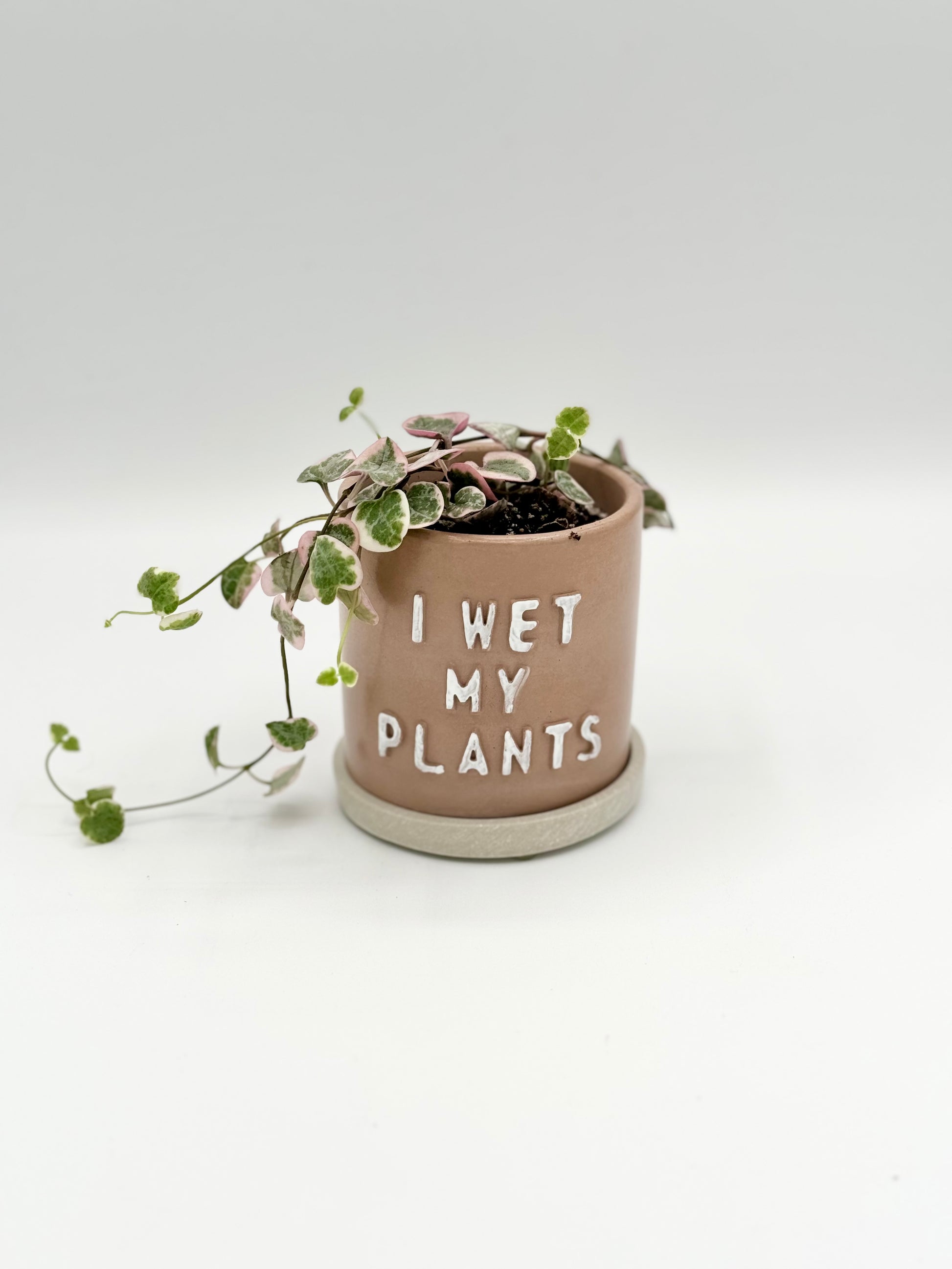 i wet my plants pot I Wet My Plants Planter