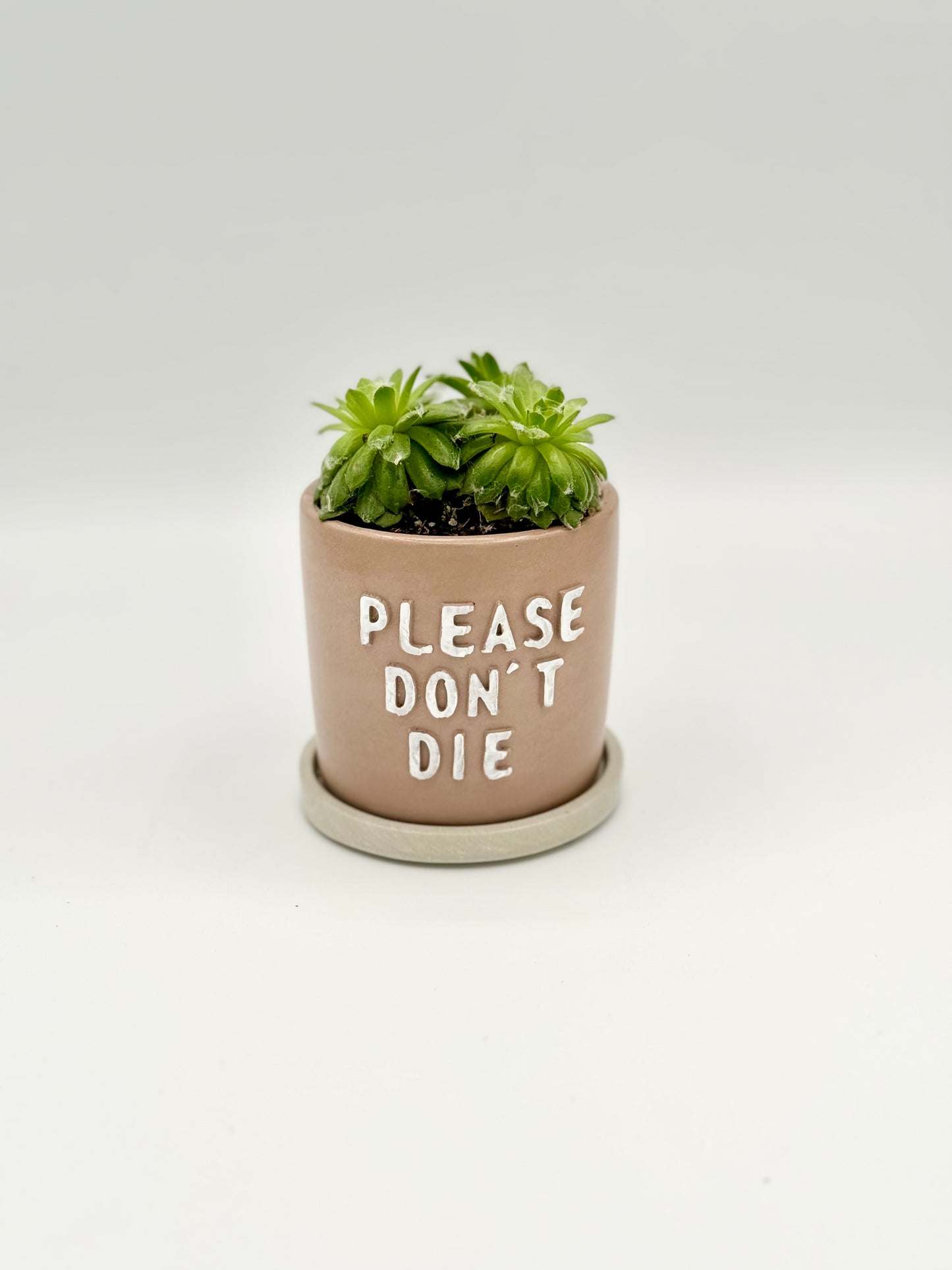 Please Don't Die Planter