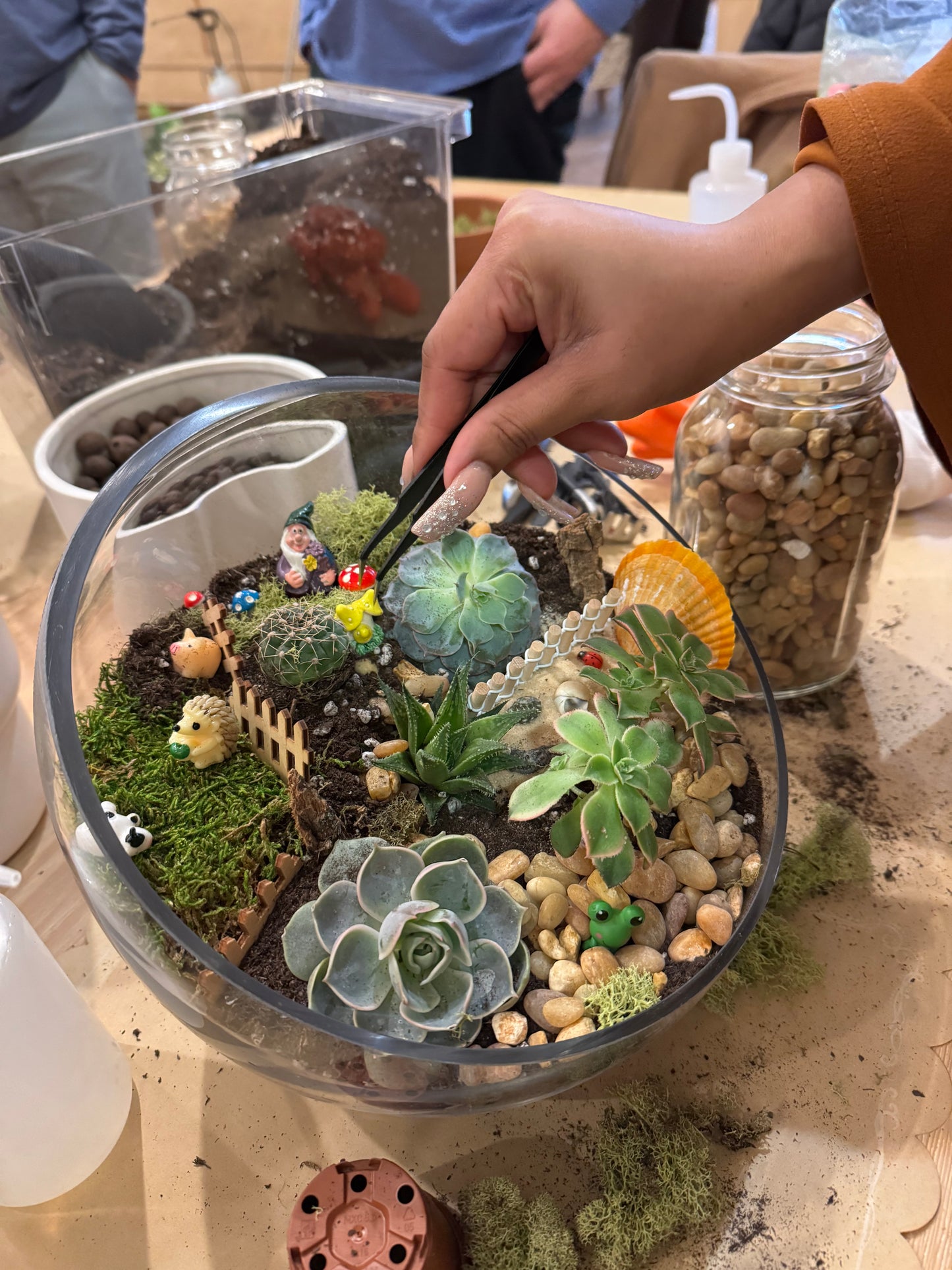 Make Your Own Terrarium Workshop