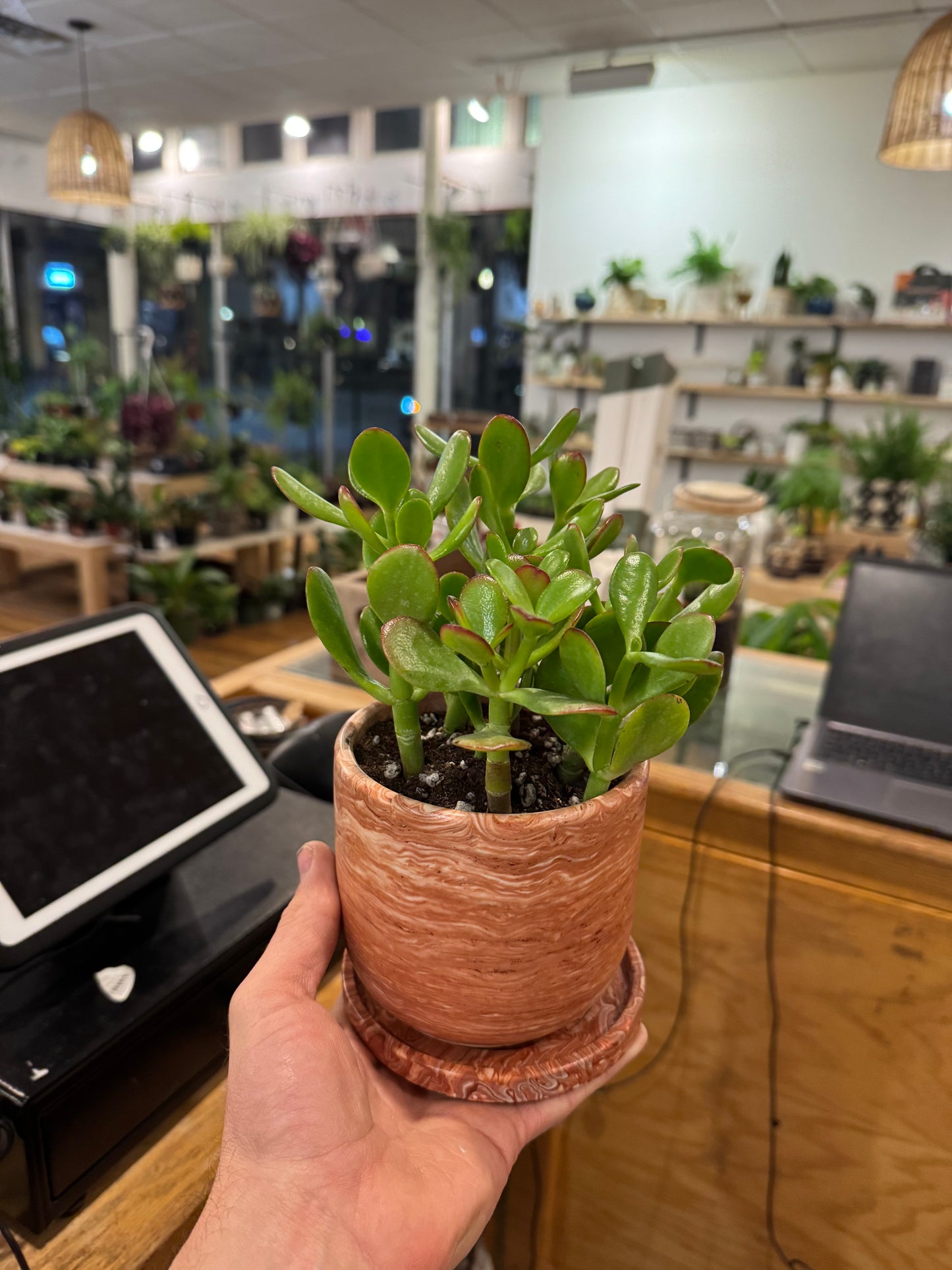 Make Your Own Pot Workshop