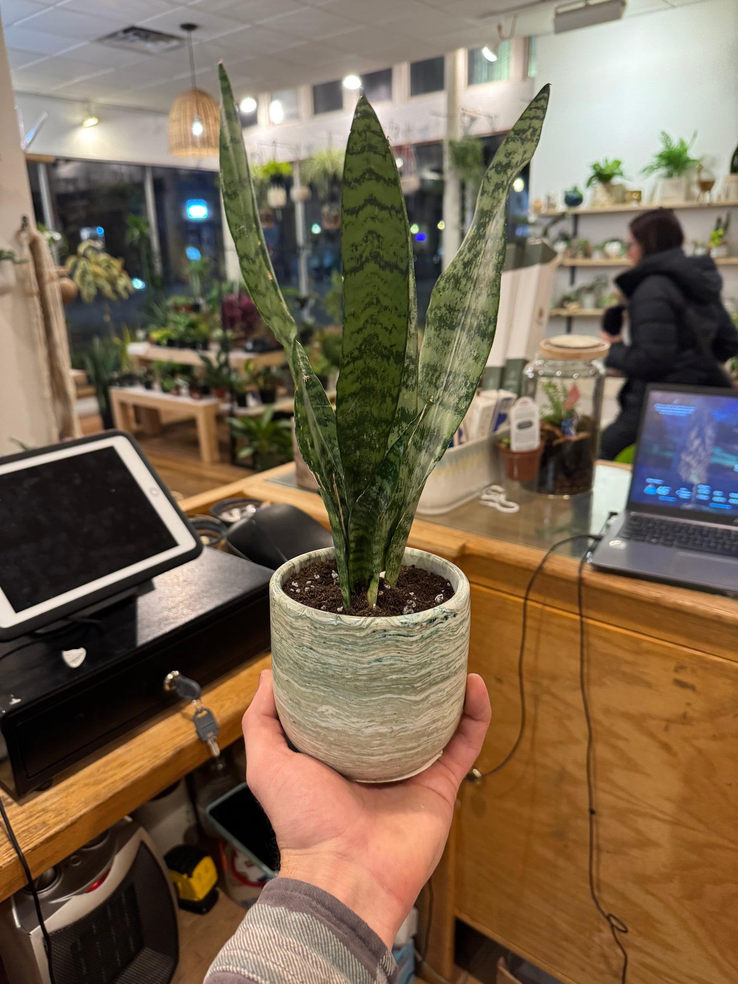 Make Your Own Pot Workshop