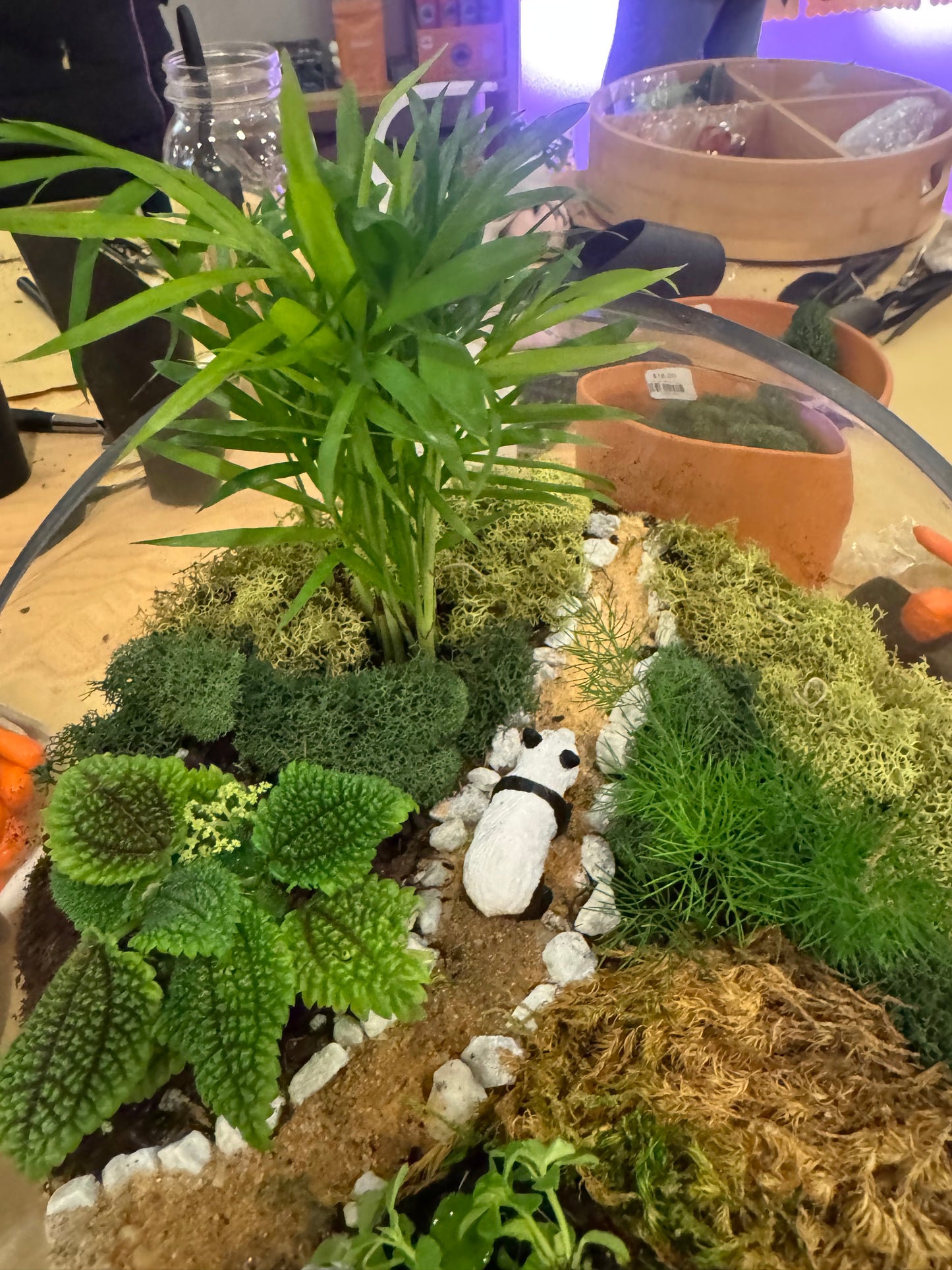 Make Your Own Terrarium Workshop