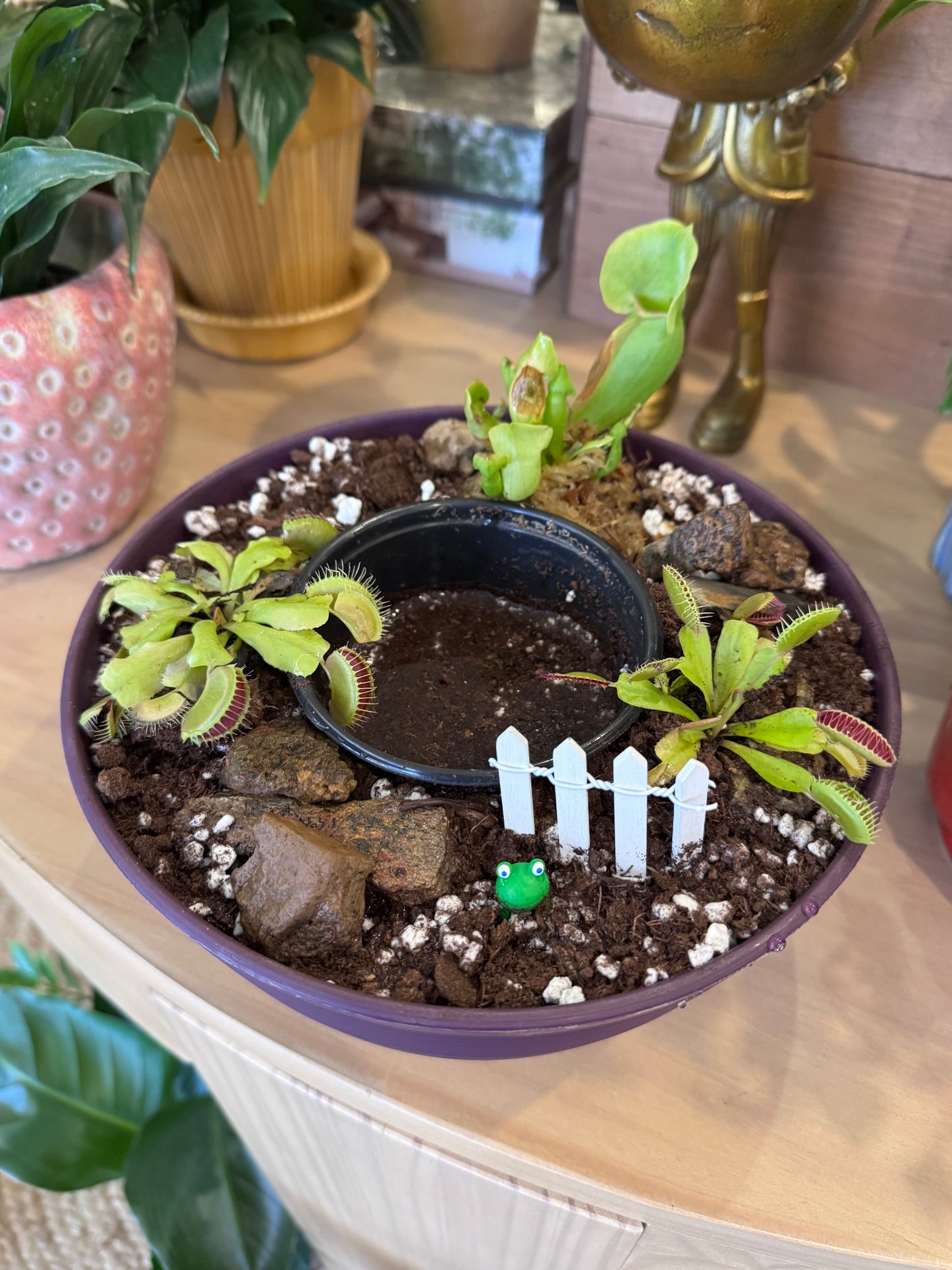Bog Garden Workshop