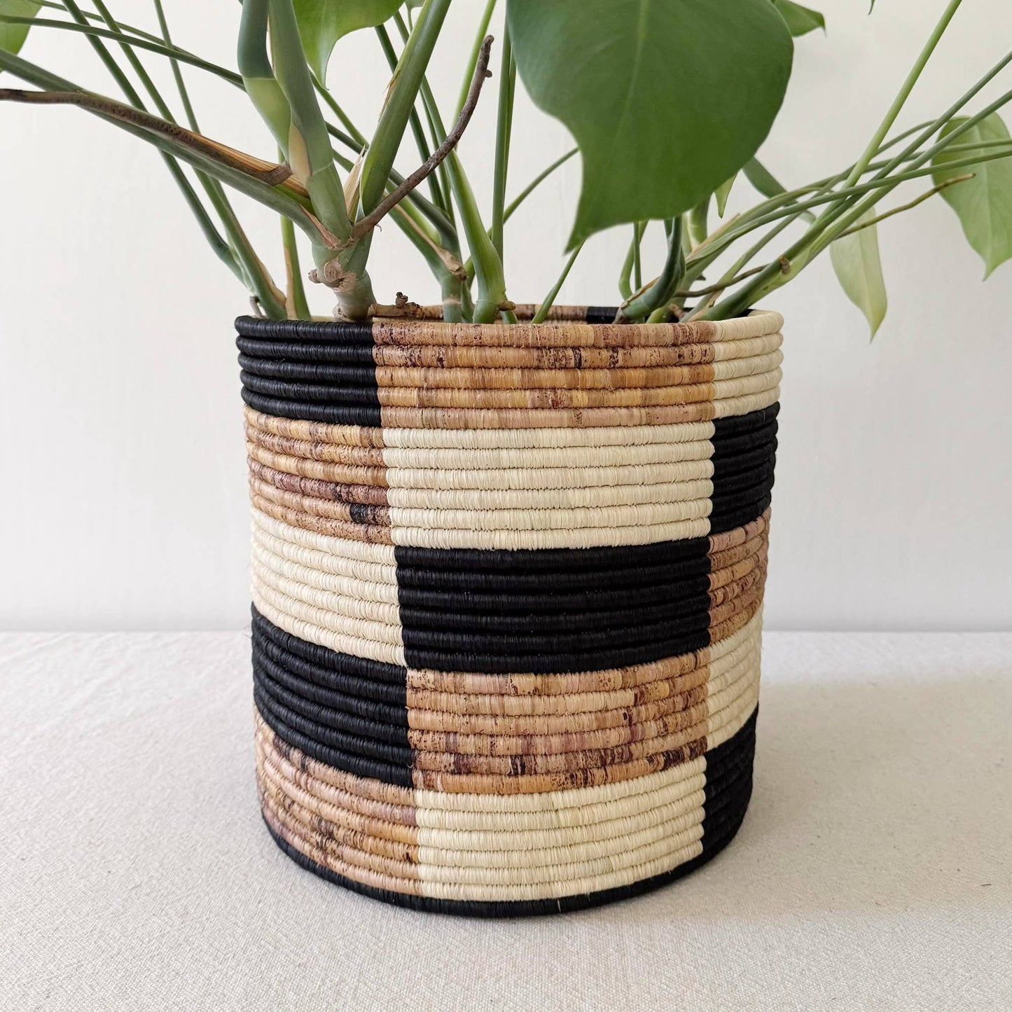 Storage Plant Basket: Zindiro: 12" x 12"