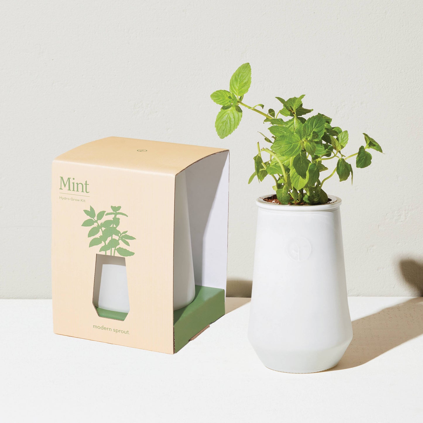 Tapered Tumbler: Mint