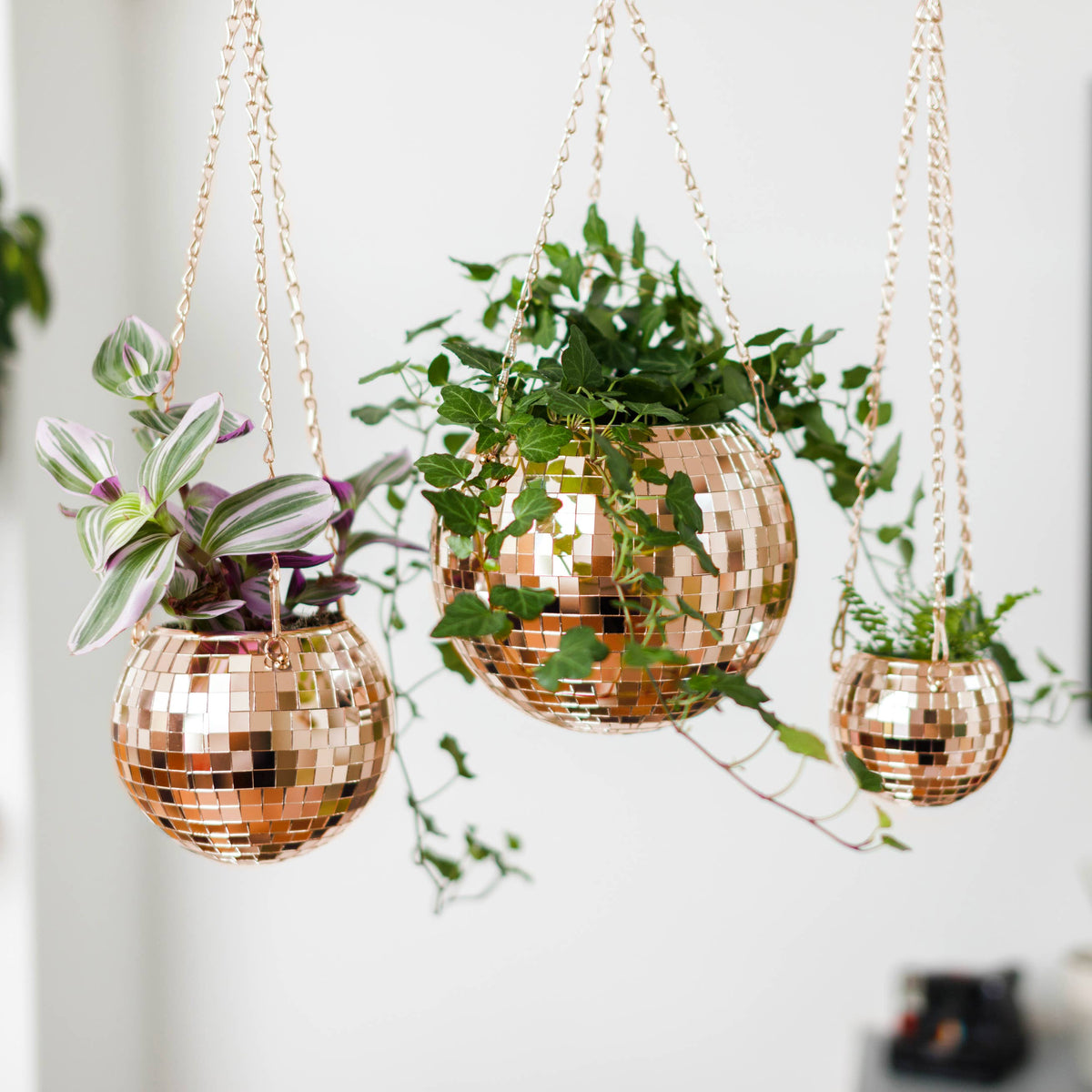 Rose Gold Disco Ball Hanging Planter  4-inch