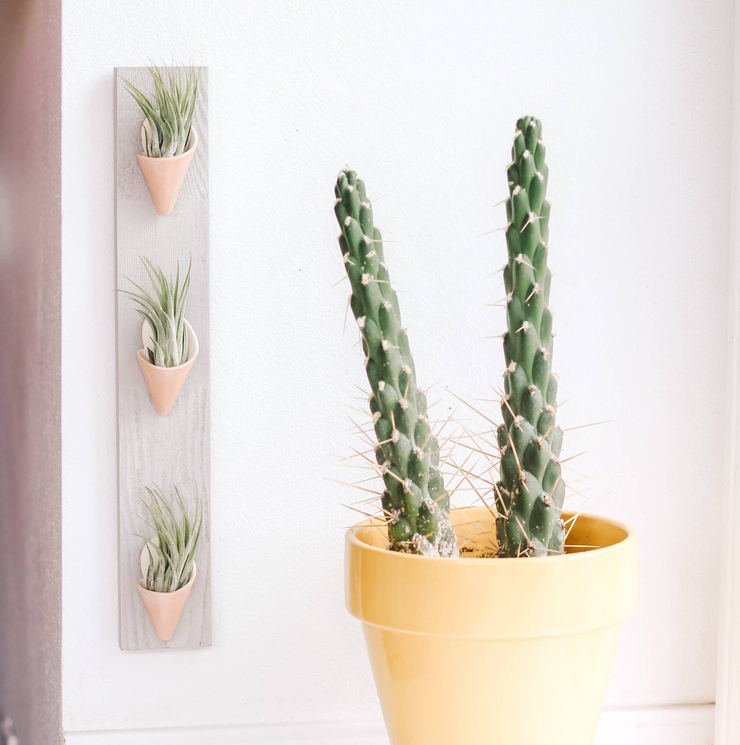 Ceramic Wall Planter - Triple
