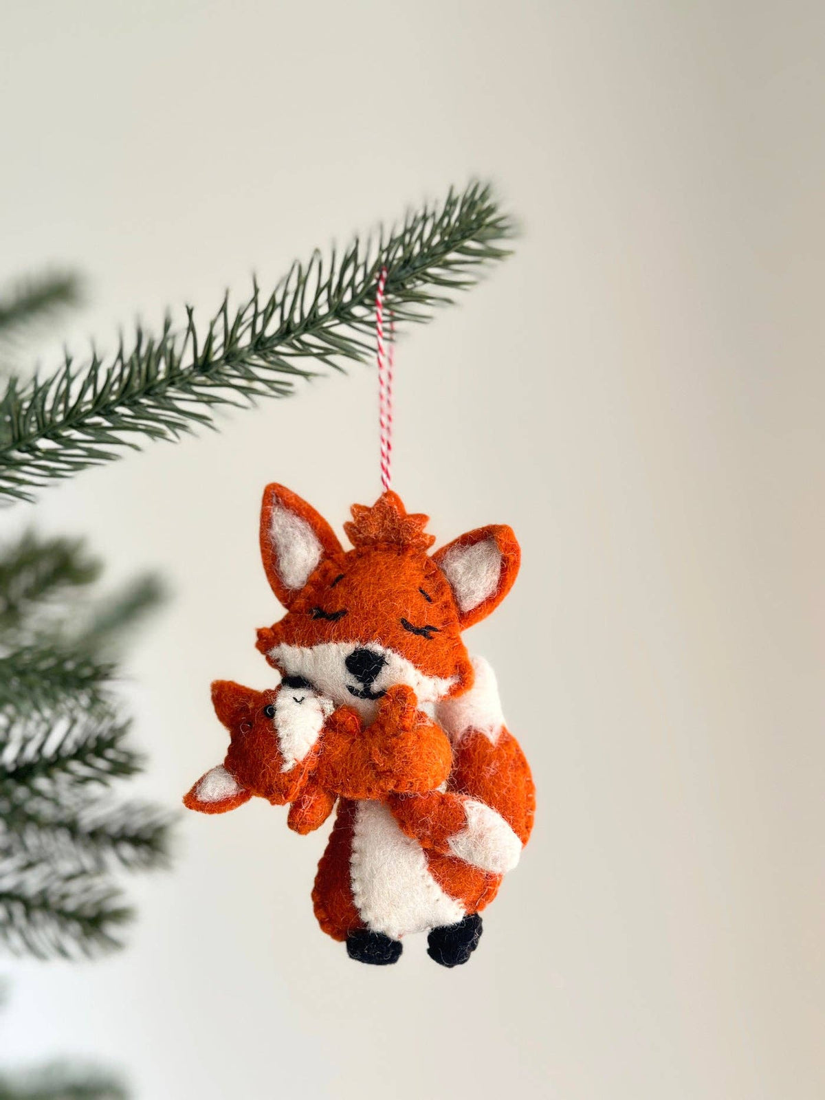 Fox and Baby
