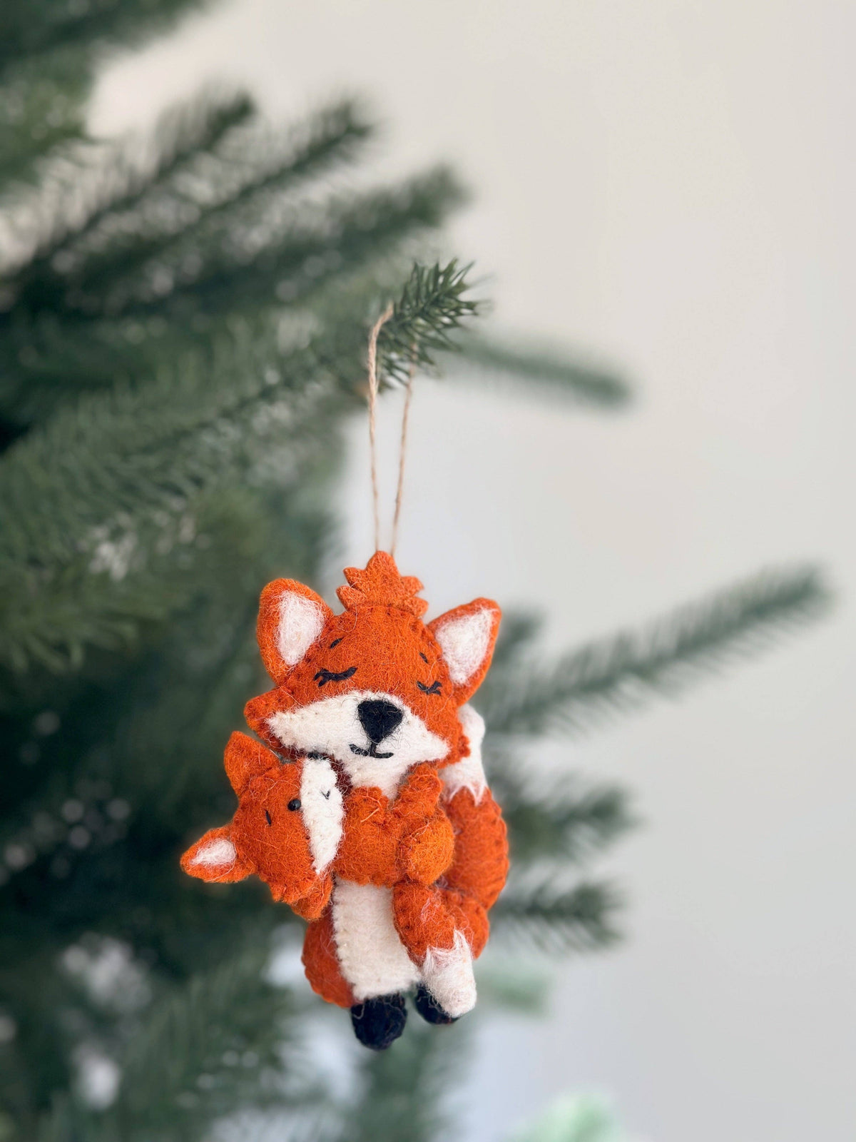 Fox and Baby