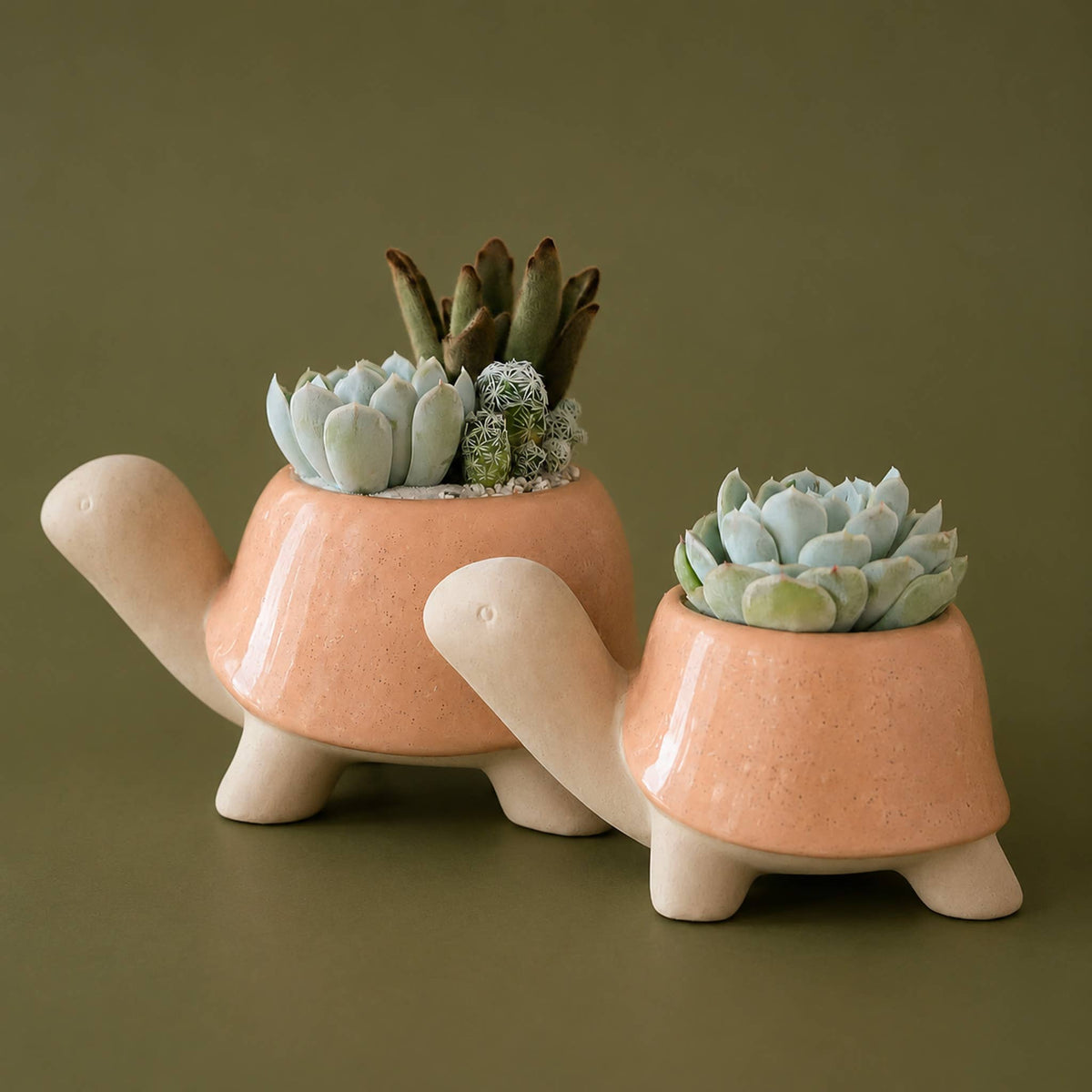 Turtle Planter | Sunset