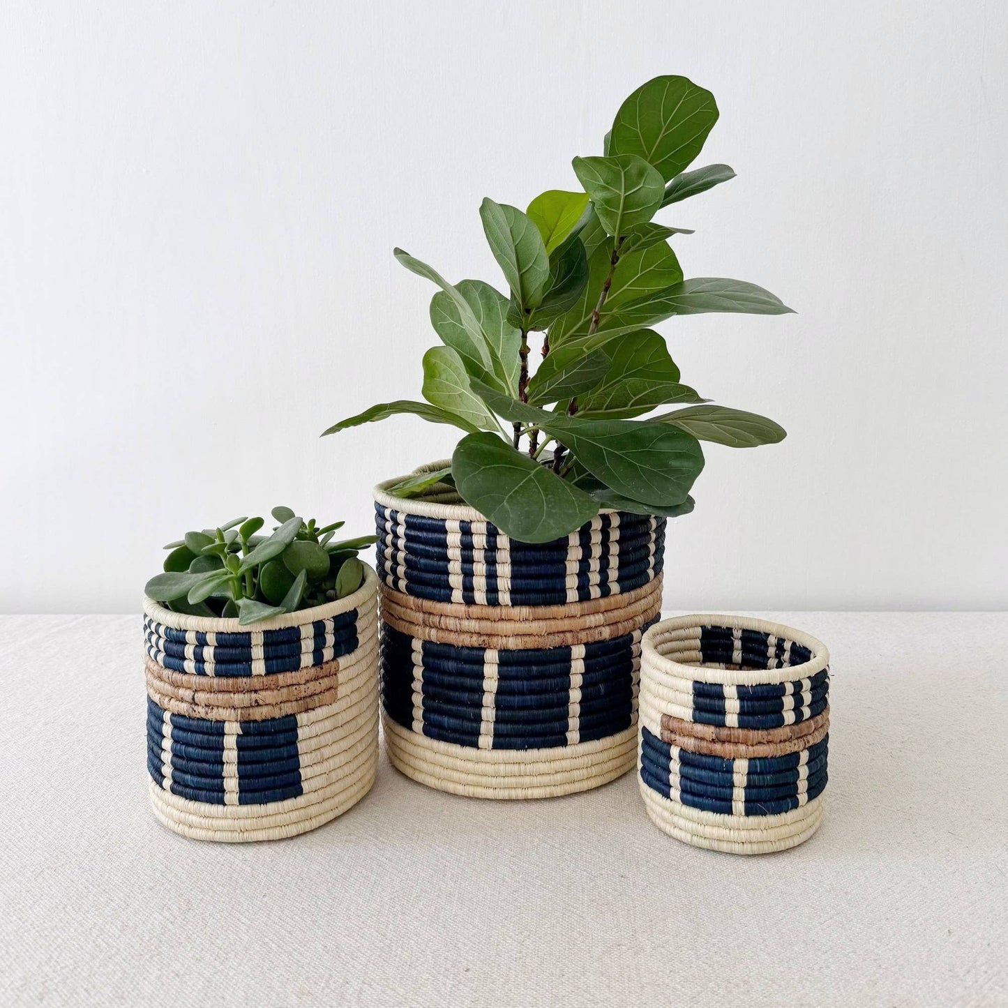 Bamba Storage Plant Basket
