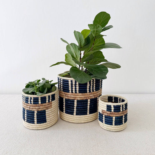 Bamba Storage Plant Basket