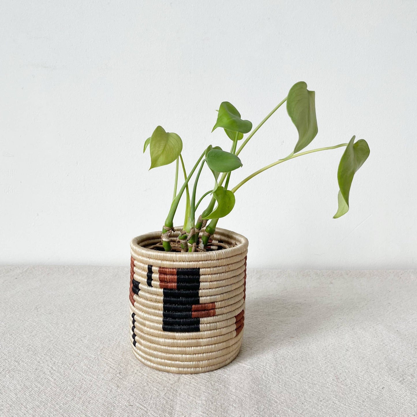 Storage Plant Basket (Set of 3): Brick