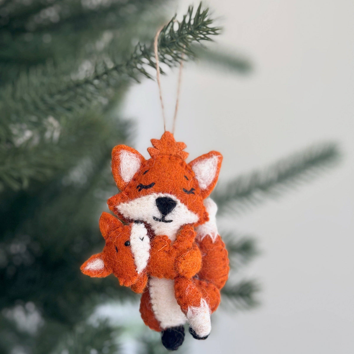 Fox and Baby
