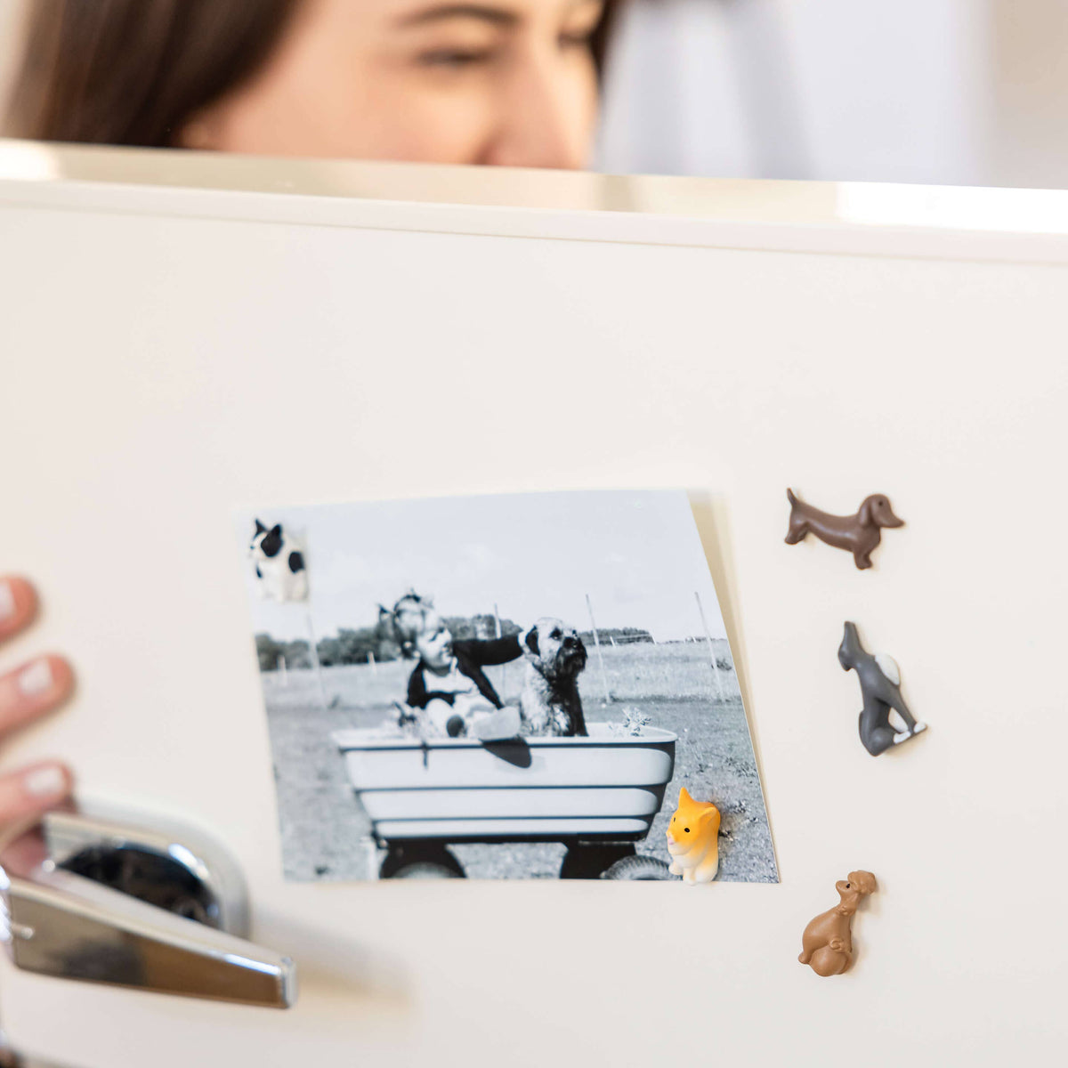 Dog Magnets