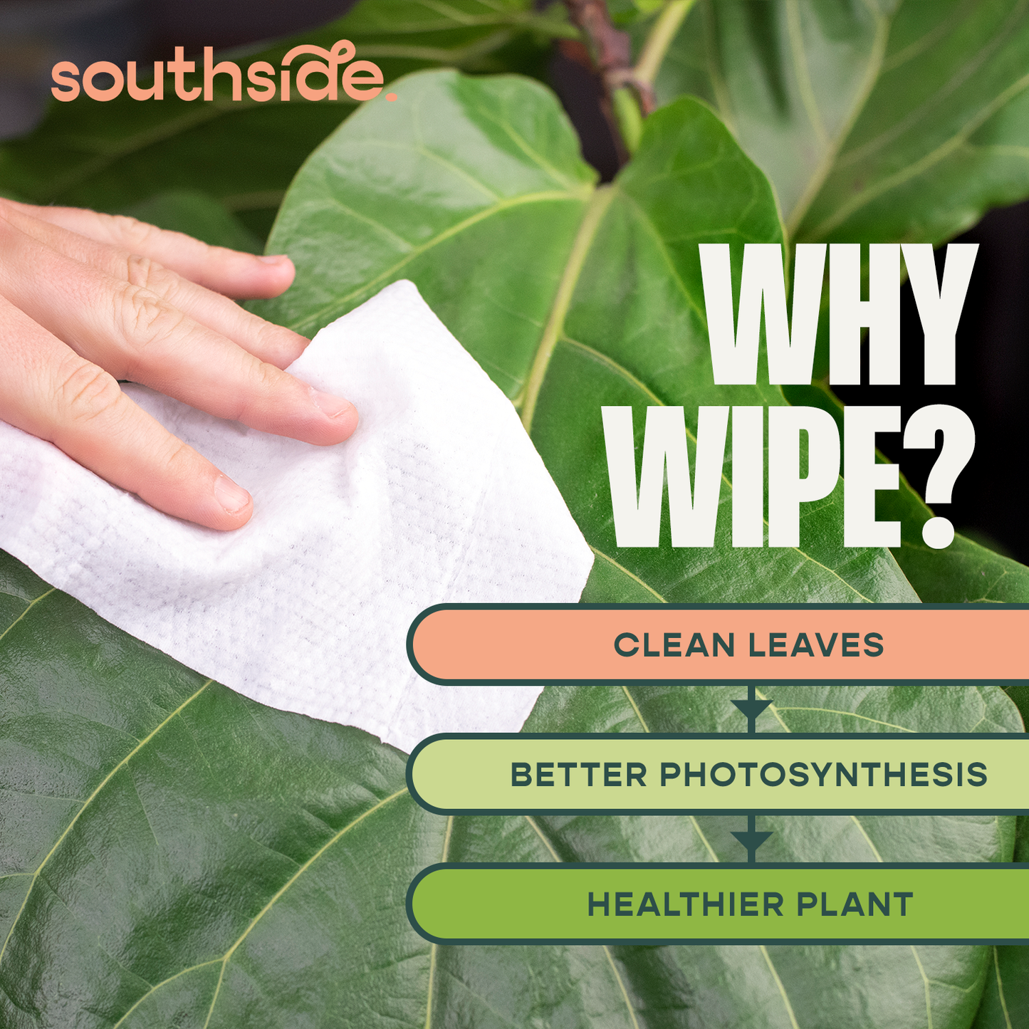 Cleaning Wipes