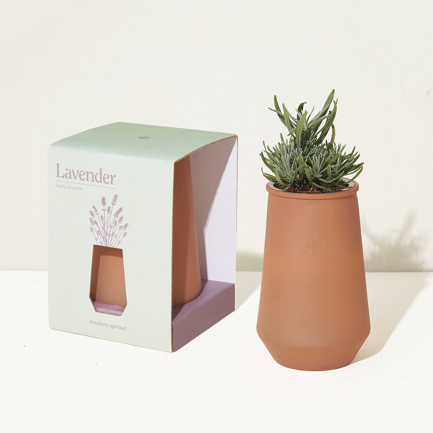 Tapered Tumbler: Mint