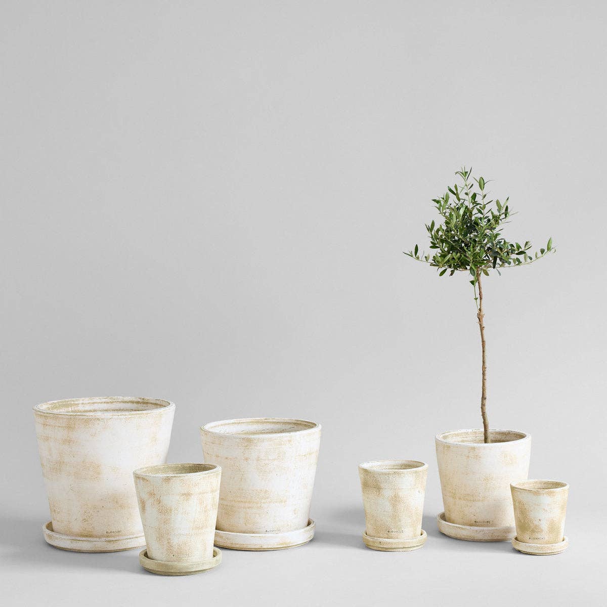 Terra Cotta Basic Planter, White Patina