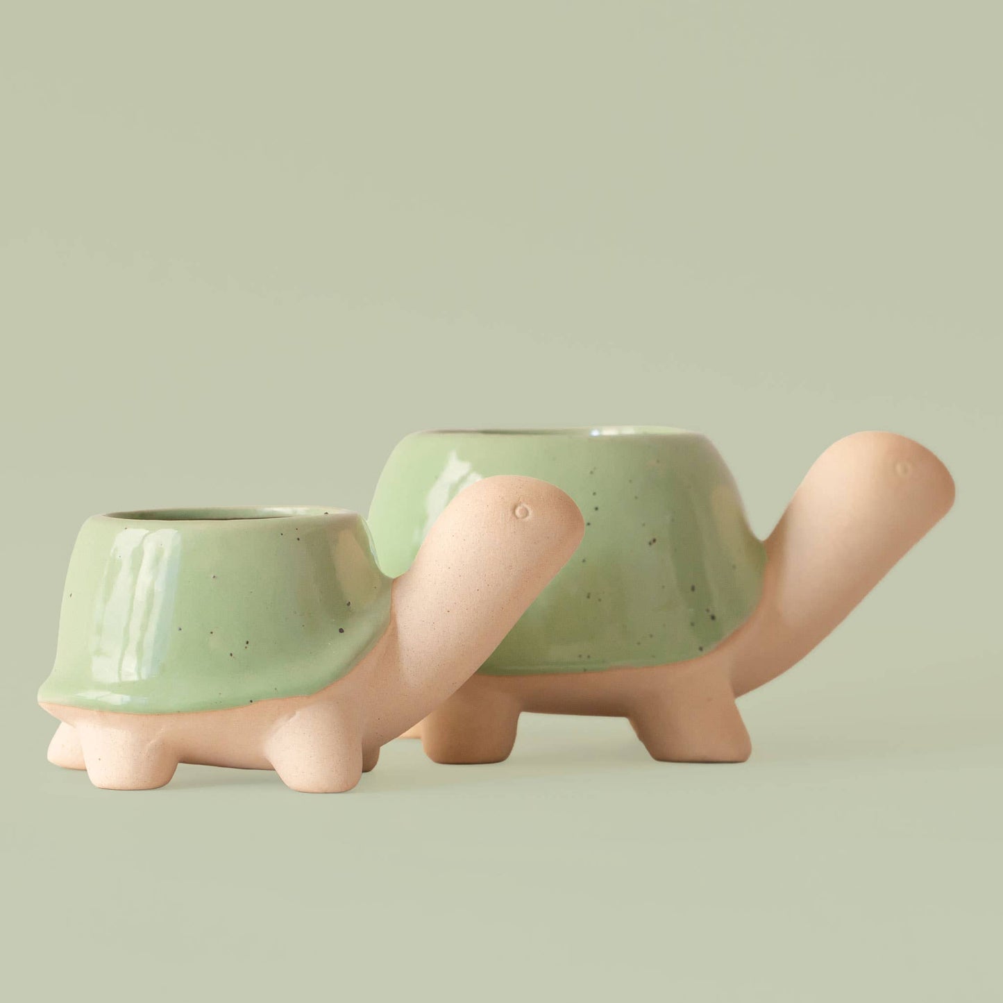 Turtle Planter | *NEW* Speckle Glazed Shell