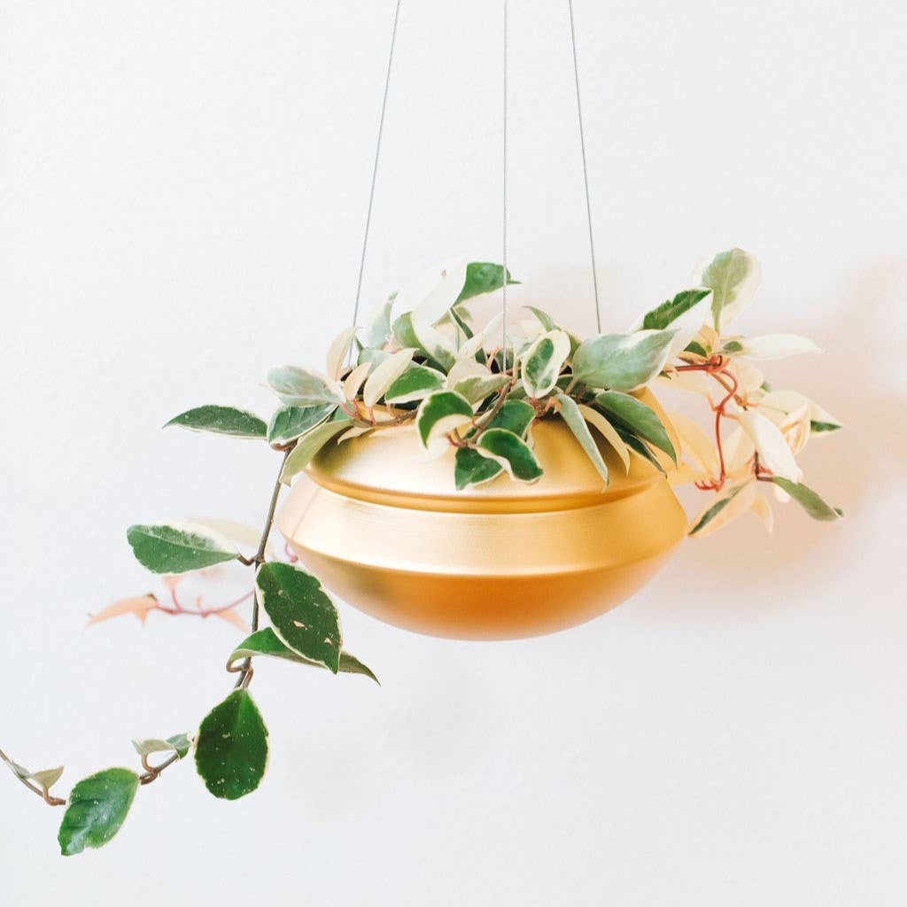 Hanging Planter