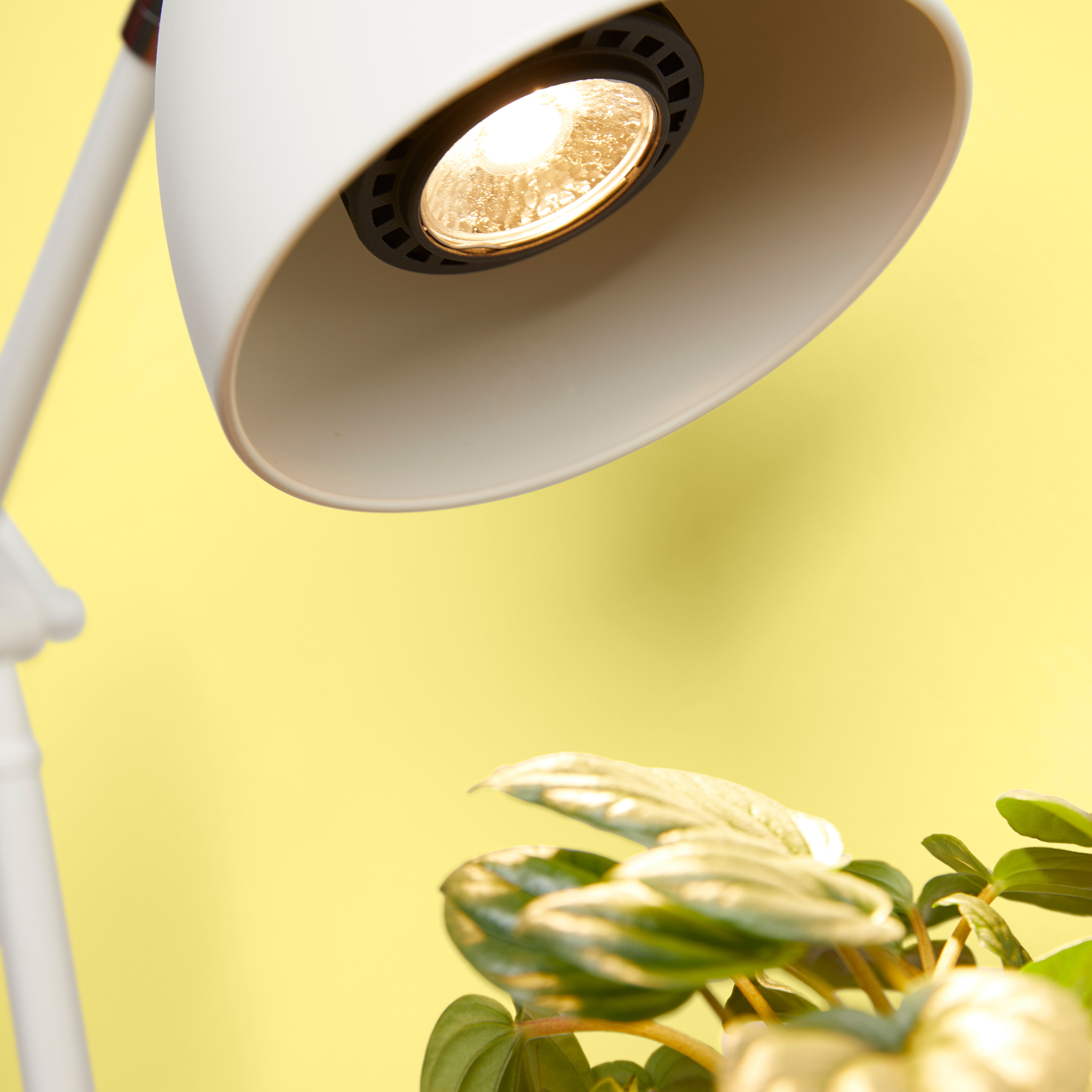 light bulb for house plants Instant Sun Grow Bulb